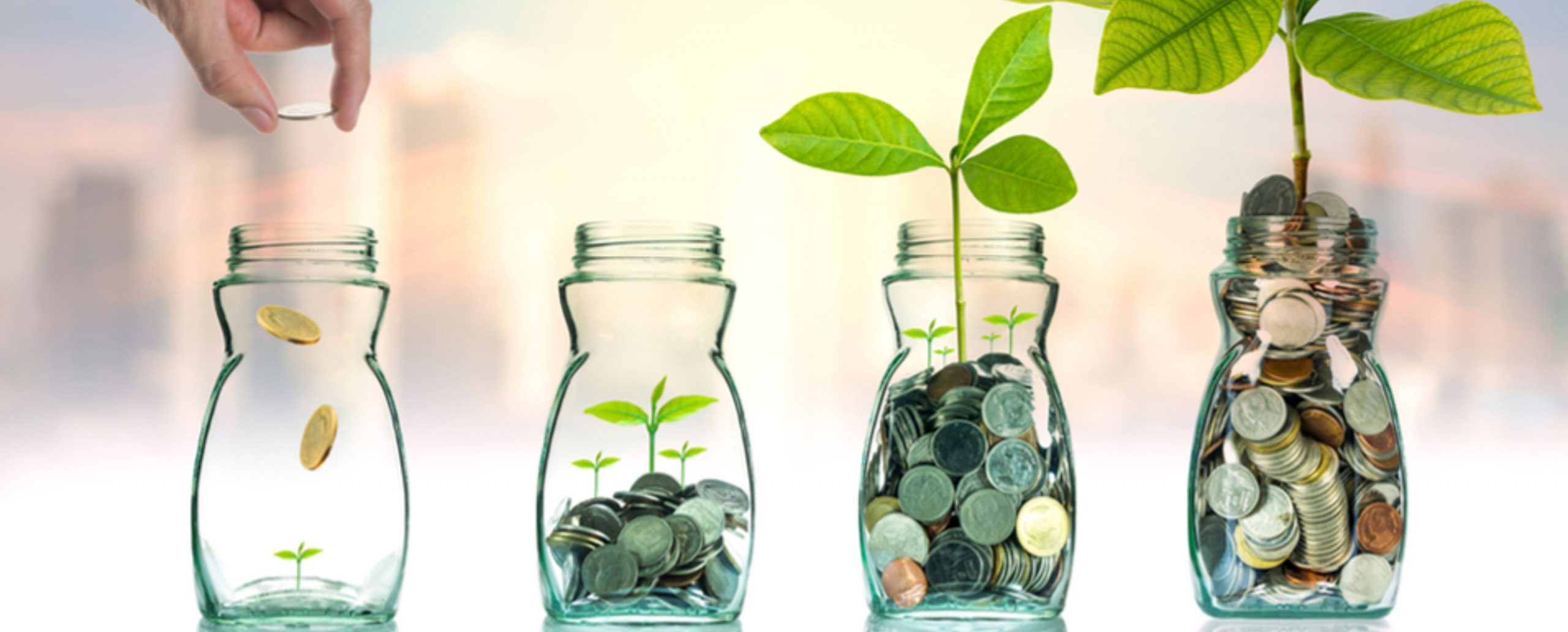 Cómo automatizar tus aportaciones mensuales a Castañar IF en MyInvestor